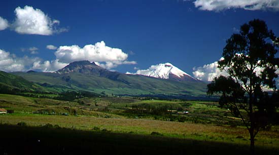 andean highlands