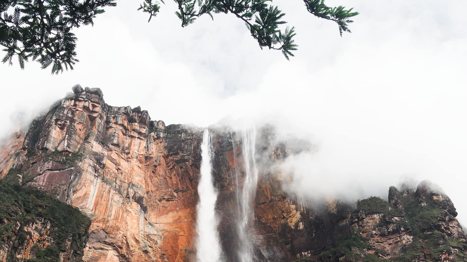 Angel Falls